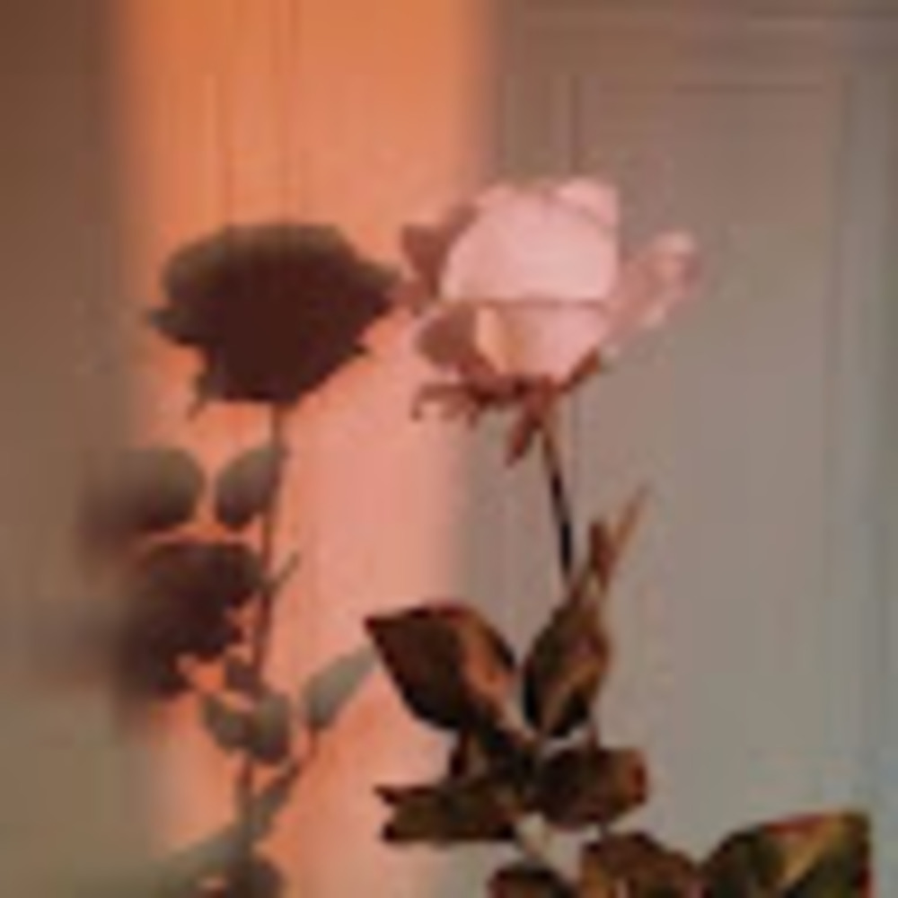 Meet your Posher, Anya